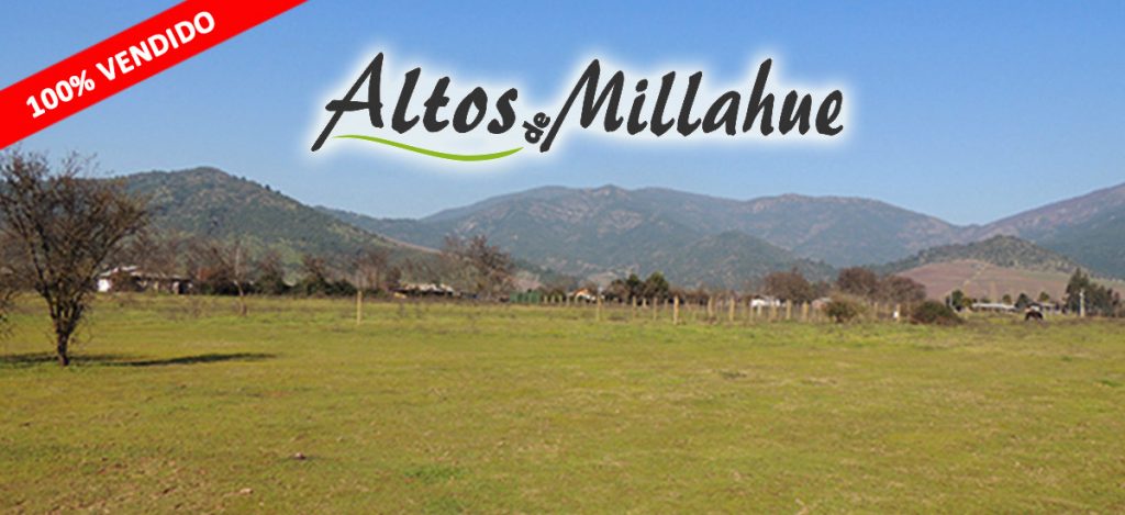 Altos Millahue Parcelas Cachapoal