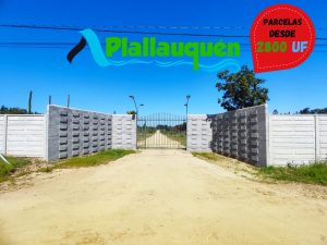 Main Pqn