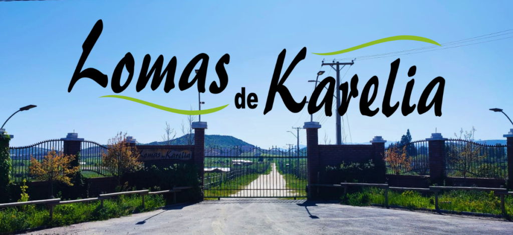 Lomas Karelia Banner Fina